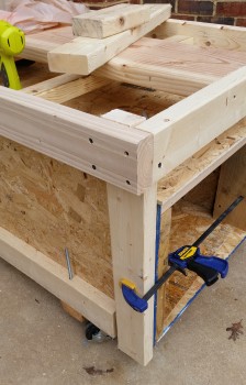Dolly table support strut